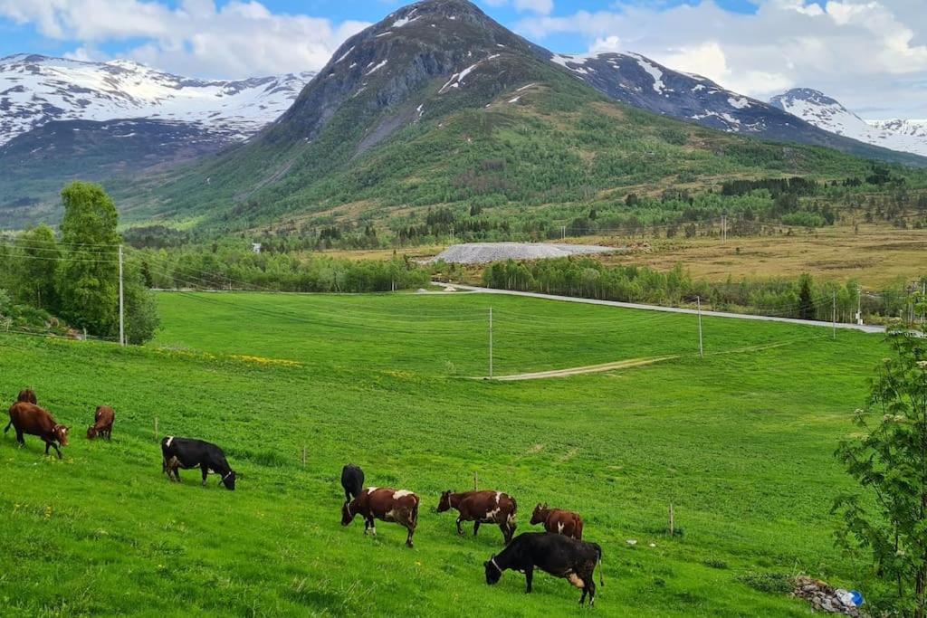 Holiday Home Among The Pearls Of Norway Stranda  Exterior foto